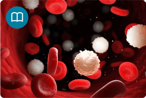 בלימה, ואפילו הפוגה: כך מטפלים ב-CML