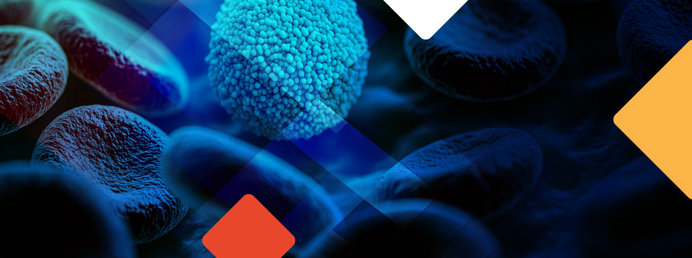 בלימה, ואפילו הפוגה: כך מטפלים ב-CML