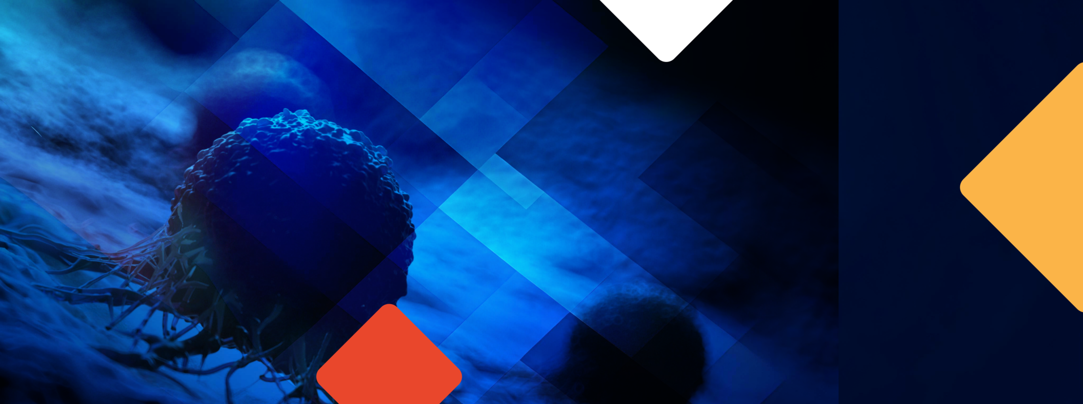 תאים כחולים